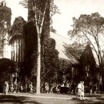Then: (October) Elm trees, most lost to disease over the years, create a visual harmony with the ivy-covered Chapel in this view of the busy Quad.   Undated photograph by Kahill Photo Studios, gelatin silver print, the Edmund S. Muskie Archives and Special Collections Library.