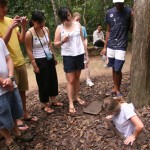 Visiting Cu Chi Tunnels, Ali going down into a tunnel.