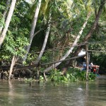 Monkey Bridge, built cross a cannel in Mekong Delta.