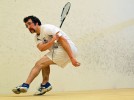 Men’s squash routs MIT, BU and Bryant