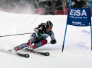 Rookies again lead alpine team at Williams Carnival