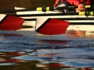 Devin Fay named assistant coach of women’s rowing