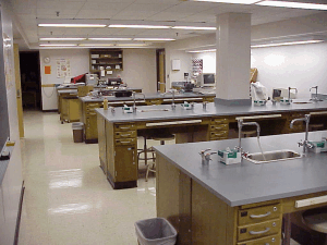 Virtual Labs - Biology Junction