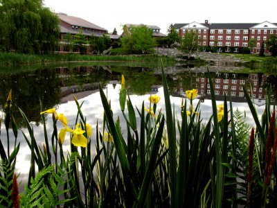 Summer Campus scenes 2008