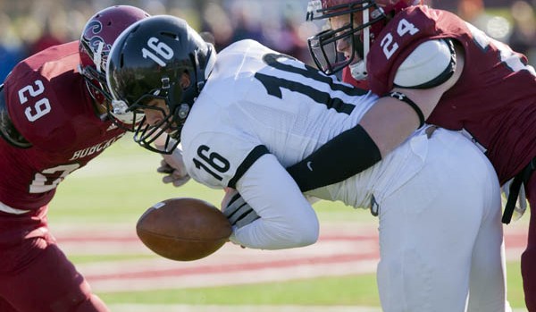 Brett McAllister forces a fumble by Bowdoin quarterback Mac Caputi during Bates' 24-2 win over the Polar Bears.