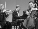 It’s a month of piano trios at Bates as Capital, Vienna ensembles visit