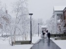 Arts events updates due to Feb 8-9 snowstorm Nemo