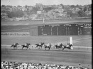 Marcus ’82 pens Globe Magazine story of ‘Uncle Arthur,’ famed gambling racketeer
