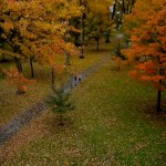 Video: ‘Bird’s Eye Bates’ — see the campus in a high way Video: ‘Bird’s Eye Bates’ — see the campus in a high way