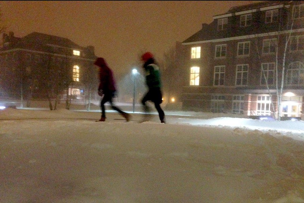 Snow Survivors