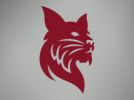 Athletics updates due to Feb. 8-9 snowstorm Nemo