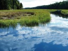 ‘Eco-anxious’ about climate change? Try a dose of natural beauty ‘Eco-anxious’ about climate change? Try a dose of natural beauty