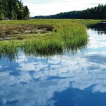 ‘Eco-anxious’ about climate change? Try a dose of natural beauty ‘Eco-anxious’ about climate change? Try a dose of natural beauty