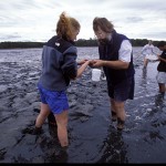 Bangor Daily News quotes biologist Ambrose in story on worm digger dispute Bangor Daily News quotes biologist Ambrose in story on worm digger dispute