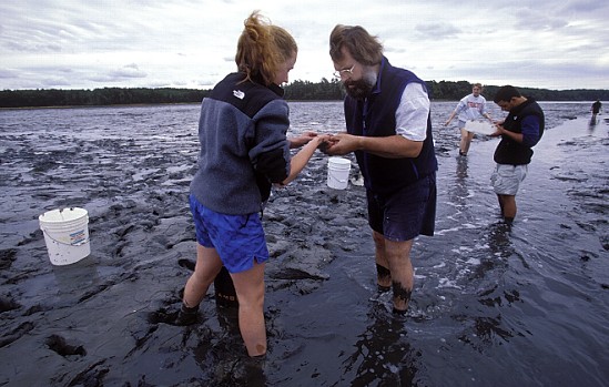 FPO-coastal mud flat