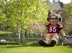 The Bobcat looks forward to May 15, when Bates seeks 555 additional alumni donors to the Bates Fund in one day. Photo by Phyllis Graber Jensen/Bates College