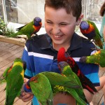 Connecticut Post profiles bird-bedecked aquarium intern Geissinger ’14 Connecticut Post profiles bird-bedecked aquarium intern Geissinger ’14