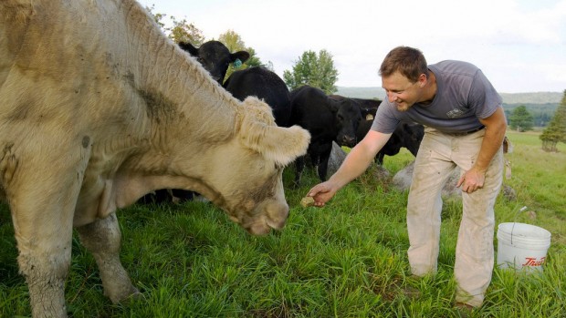 Gabe Clark '02 owns Cold Spring Ranch and is president of the Maine Grass Farmers Network. (Phyllis Graber Jensen)