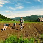 Summer Student Work: On Vermont farm, Lubetkin ’16 raises awareness of community programs Summer Student Work: On Vermont farm, Lubetkin ’16 raises awareness of community programs