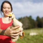 Slide Show: This Month at Bates Slide Show: This Month at Bates