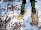 Associate Professor of Environmental Studies Holly Ewing snowshoes through Garcelon Bog on a field trip with students in her course "Scientific Approaches to Environmental Issues." (Sarah Crosby/Bates College)