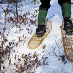 Slideshow: This Month at Bates Slideshow: This Month at Bates