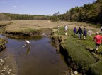 A Short Term course on hydrogeology, taught by Associate Professor Beverly Johnson, visits the Bates-Morse Mountain Conservation Area. (Phyllis Graber Jensen/Bates College)