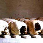 Aliza Luft ’06 examines ‘risky defections’ during the genocide in Rwanda Aliza Luft ’06 examines ‘risky defections’ during the genocide in Rwanda