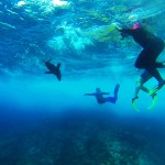 From the Galapagos, images and words from biology students and faculty From the Galapagos, images and words from biology students and faculty
