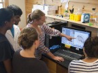 Bates biology professor Larissa Williams discusses the image of a zebrafish embryo at the Mount Desert Island Biological Laboratory on July 23. Mostly from Bates, the students with her are, from left, Nabil Saleem '15, Roshni Mangar (College of the Atlantic '16), Katie Paulson '15 and Sophie Salas '15. (Bill Church/MDIBL)