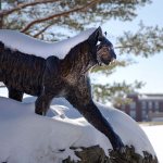 NESCAC Chill Poll for Feb. 24, 2015: Bates is the winner! NESCAC Chill Poll for Feb. 24, 2015: Bates is the winner!