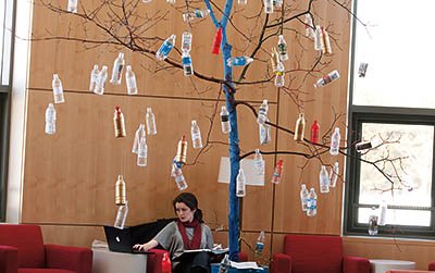 bottle-tree-2840 bottle-tree-2840