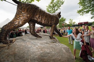 bobcat-6008 bobcat-6008