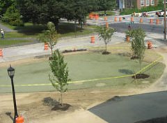 New landscaping New landscaping