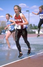 steeplechase steeplechase