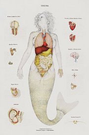 Walmor Correa, 'Ondina' (2005), mixed media on paper Walmor Correa, 'Ondina' (2005), mixed media on paper