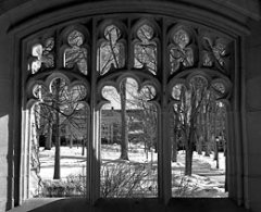The quad framed The quad framed