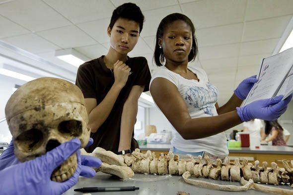 Boning Up Boning Up