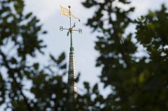 Weather vane Weather vane