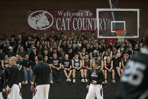 Cat Country Cat Country