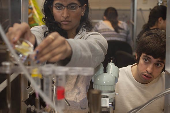 web_110215_neurobiology_kleckner_9908 web_110215_neurobiology_kleckner_9908