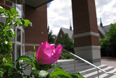 Summer Campus scenes 2008 Summer Campus scenes 2008