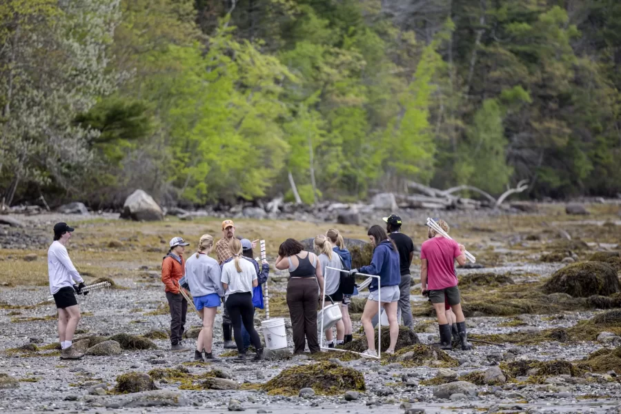Lecturer in Biology Jesse Minor ’00 takes students in his Short Term on invasive green crabs to Cousins Island in Yarmouth for inventory monitoring and site assessment field trip.

Jessie Batchelder from Manomet joined them.