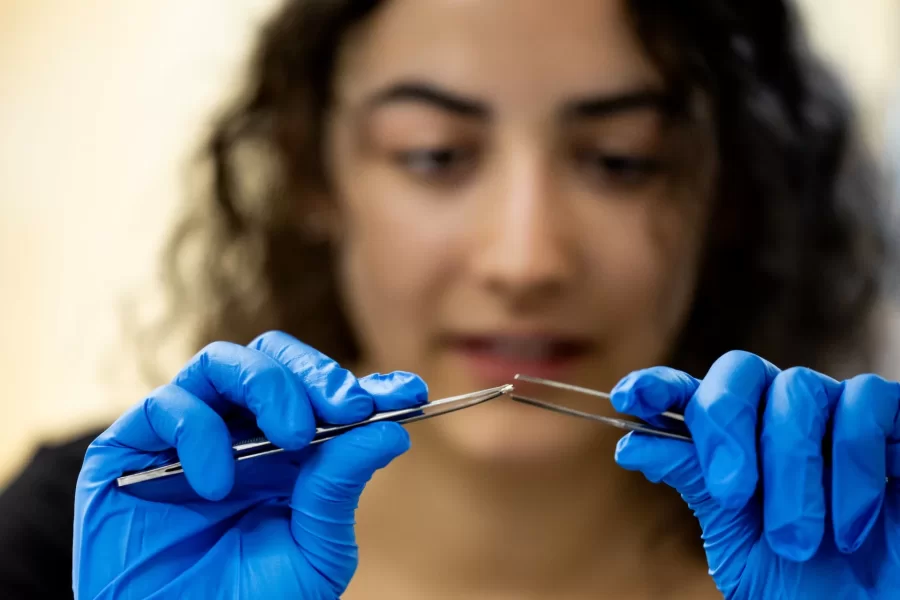Professor of Earth and Climate Sciences Beverly Johnson takes her summer research students into her Carnegie Science lab the day after they visited Bates-Morse Mountain to study blue carbon cycling in salt marshes.

Also in Johnson’s lab was Phil Dostie, Laboratory Manger Environmental Geo Chemistry Lab

An EPA regional assessment of blue carbon stocks has recently been released.  Maine data are almost entirely from Johnson’s lab so Bates is heavily featured (mostly her thesis students).

Anna Sarazin (EACS 2024; funded by Maine Sea Grant) ---- short with red/blonde hair
Kate Dickson (EACS 2024; funded by Maine Sea Grant) ---- tall, carried the backpack, red hair
Hayden Eckblom (EACS 2025; funded by Maine Climate Science Information Exchange) --- the only male
Fiona Wilson (Biology, 2025; funded by Maine Community Foundation) ----- the one wearing all the netting, blondish/red hair in pigtails
Evelyn Marchand (EACS 2026; funded by Maine Community Foundation) --- dark hair