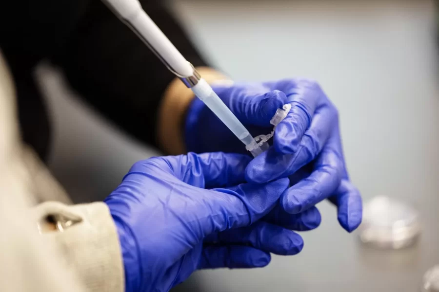 Moments from Lab-Based Biological Inquiry Cellular Neuroscience taught by Martin Kruse, associate professor of biology and neuroscience, in Bonney Science Center Room 370 on January 25, 2024. (Theophil Syslo | Bates College)