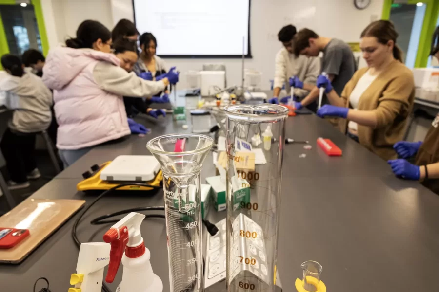 Moments from Lab-Based Biological Inquiry Cellular Neuroscience taught by Martin Kruse, associate professor of biology and neuroscience, in Bonney Science Center Room 370 on January 25, 2024. (Theophil Syslo | Bates College)