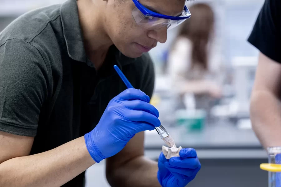 They are jumping for joy.
Women’s varsity rowing teammates Oli Seline ’24 (left) of Delaware, Ohio, and Olivia Dekker ’24 of Bethesda, Md., high five it at the conclusion of their last-ever Bates lab in Bonney 360.
The teammates are students in Assistant Professor of Biochemistry Geneva Laurita’s Short Term course, “Chemistry and the Arts.”
Seline is a biochemistry major with a GEC in “Visible Ideas,” while Dekker is a biochemistry major with a minor in art and visual culture.
The course explores the connection between chemistry and various topics in the arts and arts-related fields. The students learn about the chemistry behind these topics, exploring the literature behind various artistic practices, and applying hands-on techniques in the laboratory involved in various art processes
This year, Laurita asked students to focus on the origins of color, different crafts, print making, jewelry making, dyeing, and art conservation.
Laurita is the recipient of a major National Science Foundation grant of $581,984. The NSF CAREER award, considered to be one of the foundation’s most prestigious awards for faculty members who are just beginning their teaching and research careers, is based on both her scientific research in solid state materials and how she brings undergraduates into that vital area of scientific exploration.
3:18
What the particular lab was about...the lab handout.

Kate Baumler, intern for Geneva’s NSF grant, wearing, black shirt

Benji Richards, ’27, wearing tan shirt
Finian Gunny ’27, gray pullover and blond hair
Charlotte Maffie ’25 with pink tie dyed and hair in bun
Sister Alice Maffie ’27 in t-shirt and pony tail
Nina Greeley ’24 with hair in bun and pink t-shirt
Riley Lund ’26 in gray sweatshirt
Jahan Baker-Wainwright ’25 in green golf 
Rohini Kandasamy ’27 in dark tan Life is cool t-shirt and low bun

Chemistry and the Arts S28, the origin of different crafts, print making, jewelry making, dyeing and art soncserv