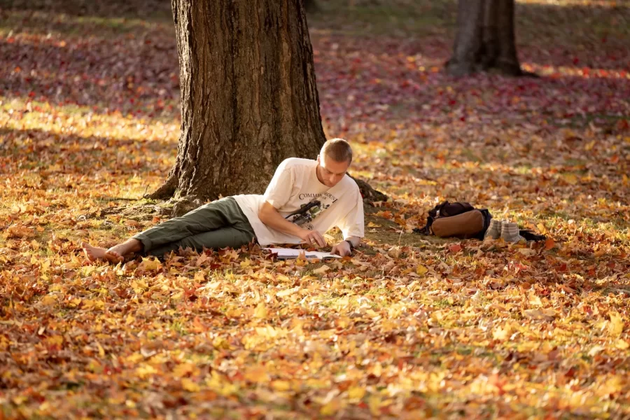 Fall afternoon on the historic quad features students and foliage.