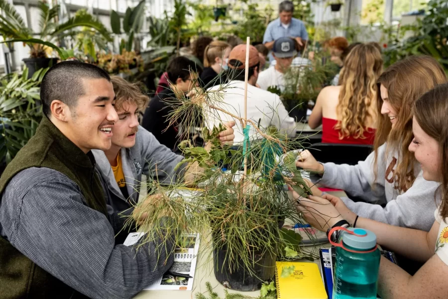 “Usually at this hour, we’d be down in the lecture hall.”

—	Associate Professor of Biology Brett Huggett explaining why he took his dendrology students to the Carnegie Greenhouse rather than have them remain in the classroom to identify tree species.

Huggett teaches BIO 271/Dendrology and the Natural History of Tree, a field-based course in which students engage in the scientific study of the natural history and identification of trees and important shrubs native to New England, and some commonly planted non-native trees. Topics include the anatomy, function, taxonomy, biology, and uses of trees. Lecture topics support weekly outdoor laboratories, which may include trips to such field sites as the Saco Heath, Thorncrag Bird Sanctuary, and Wolfe's Neck State Park. Study of the woody flora of New England serves as a foundation for further work in biology, environmental studies, conservation, or related fields.

(Phyllis Graber Jensen/Bates College)

#batescollege #biology #stem #tress #dendrology #liberalarts #faculty #lab