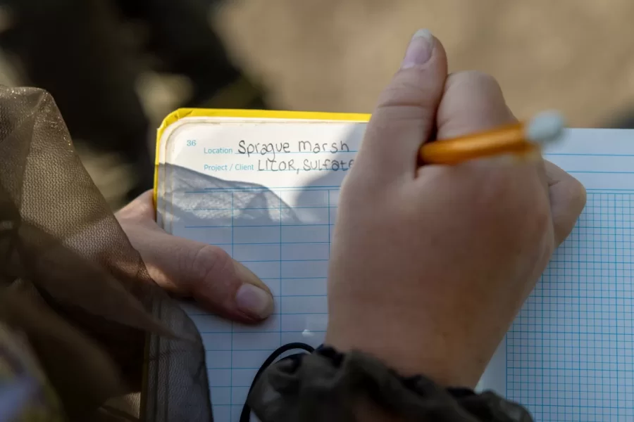 Professor of Earth and Climate Sciences Beverly Johnson takes her summer research students who are studying blue carbon cycling in salt marshes to Bates-MorseMountain in Phippsburg.

An EPA regional assessment of blue carbon stocks has recently been released.  Maine data are almost entirely from Johnson’s lab so Bates is heavily featured (mostly her thesis students).

Anna Sarazin (EACS 2024; funded by Maine Sea Grant) ---- short with red/blonde hair
Kate Dickson (EACS 2024; funded by Maine Sea Grant) ---- tall, carried the backpack, red hair
Hayden Eckblom (EACS 2025; funded by Maine Climate Science Information Exchange) --- the only male
Fiona Wilson (Biology, 2025; funded by Maine Community Foundation) ----- the one wearing all the netting, blondish/red hair in pigtails
Evelyn Marchand (EACS 2026; funded by Maine Community Foundation) --- dark hair